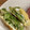 meshio's cooksnap of when they made 白だしと三つ葉のたまご焼き♪.