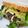 PGTips's cooksnap of when they made ターキー・バーガー.