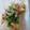 かずくん☆'s cooksnap of when they made 厚揚げとピーマンのおかか炒め.