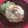 フジぽん's cooksnap of when they made ツナとゆで卵のご飯★フィッシュライス.
