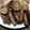 クックRKKOMT☆'s cooksnap of when they made サクサク♡ごぼうの唐揚げ.