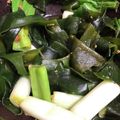 冷蔵庫レスキュー隊's cooksnap of when they made ネギぬたわかめ.