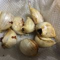 葉月優希's cooksnap of when they made ホクホク！にんにくの丸揚げ.