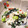 magmac's cooksnap of when they made 意外と簡単◎ほうれん草と枝豆の白和え.
