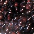 mika rin3's cooksnap of when they made いつの間にかできるきれいな●黒豆●.
