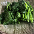 パンコパンダ's cooksnap of when they made くきたちのおひたし.