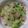 ちーちゃん★ママ's cooksnap of when they made 簡単さっぱり中華風春雨サラダ.