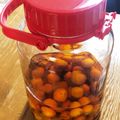 かいわれママ's cooksnap of when they made 金柑酒.