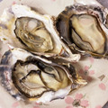 赤蜻蛉's cooksnap of when they made 簡単☆殼つき牡蠣の魚焼きグリル焼き.