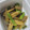 tamago大好き's cooksnap of when they made ふきとごぼうのピリ辛炒め.