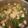 だい☆あお☆まり's cooksnap of when they made 温まる＊春雨スープ.
