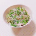 まあまま☆0403's cooksnap of when they made 美しくな～れ▶笑▶超簡単ちりめんじゃこ丼.