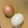 月の影と海's cooksnap of when they made つるんと剥ける！玉ねぎの皮のむき方.