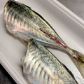 カネチャン's cooksnap of when they made 鯵の下処理が早くて簡単！.