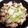 ♬あじさいのレシピ♬'s cooksnap of when they made 手羽元と白菜の生姜だし醤油煮.