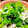 ふわりんぽよりん♪'s cooksnap of when they made 春を感じたい！菜の花のしらす和え.