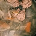 ねこのガストン's cooksnap of when they made イワシのつみれ汁.