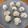 YuMy84's cooksnap of when they made もち米シュウマイ.
