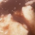 ふぁんころ's cooksnap of when they made お正月のお餅＊お汁粉♪つぶあんde.