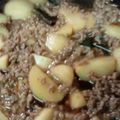 鶏皮坊主's cooksnap of when they made かぶのひき肉そぼろ煮.