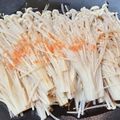 ぷらむ♪'s cooksnap of when they made Ken房の簡単☆えのきポン酢♪.