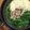kitchenYUU's cooksnap of when they made 鉄分たっぷり！ラム肉の常夜鍋.