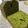 3645's cooksnap of when they made 本格！しっとり濃い抹茶のパウンドケーキ.