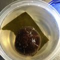 sansanさん's cooksnap of when they made ズボラ人間の超簡単☆魔法の出汁の作り方！.