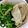 xyzクック's cooksnap of when they made 【初心者向け】豚の小間切れで作る生姜焼き.