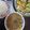 2児ママみきてぃ's cooksnap of when they made もやしとワカメの味噌汁♪.