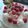 みるくmamu's cooksnap of when they made 無水鍋で作るスポンジケーキ.