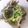 うさぽんぽん♪'s cooksnap of when they made 【10分】春♡アサリと白菜のバター酒蒸し.