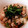 あーこ姐's cooksnap of when they made 簡単！ツナとなめ茸の混ぜご飯.