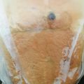 クックHB0OYQ☆'s cooksnap of when they made 全粒粉入り黒糖胡桃パン.