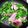 maruchan77's cooksnap of when they made 【作り置き】ブロッコリーの葉と茎炒め.
