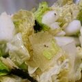 のぶ代's cooksnap of when they made 体のリセット♡無限に食べられる白菜サラダ.