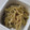 tamago大好き's cooksnap of when they made ふきとごぼうのきんぴら.