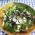 ととろ＆めい's cooksnap of when they made 我が家でヒット★チャーシュー丼★.