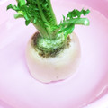 フジぽん's cooksnap of when they made 基本の 「大根おろし」 料亭風.