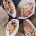 RMNT's cooksnap of when they made はまぐりの酒蒸し.