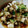 あおいりん's cooksnap of when they made 長芋ときゅうりの塩昆布和え.