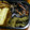 Cookingmam's cooksnap of when they made ゴーヤの油揚げ炒め.