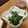 なそたろ's cooksnap of when they made 離乳食(中期～)も　万能　黄金の和風だし.