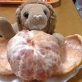 fukofuya's cooksnap of when they made フルーツの皮がトゥル～ン☆.