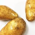 フジぽん's cooksnap of when they made 芽を取ってから！皮むき♩（肉じゃが）.