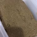 ユカtoマオマオ's cooksnap of when they made オートミールプロテイン蒸しパン.