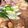 momorin★'s cooksnap of when they made 【給食】すき焼き風煮.