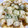 さくら　あんぱんこ's cooksnap of when they made 長ネギのとろチーズ♪.
