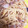 クック3Q10BC☆'s cooksnap of when they made ツナと玉ねぎの和風パスタ.