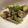 ベティ３'s cooksnap of when they made タラと小芋の粒マスタード・クリーム煮.
